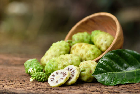 20 NONI Cheese Fruit Great Morinda Citrifolia Indian Beach Mulberry Shrub Tree Seeds