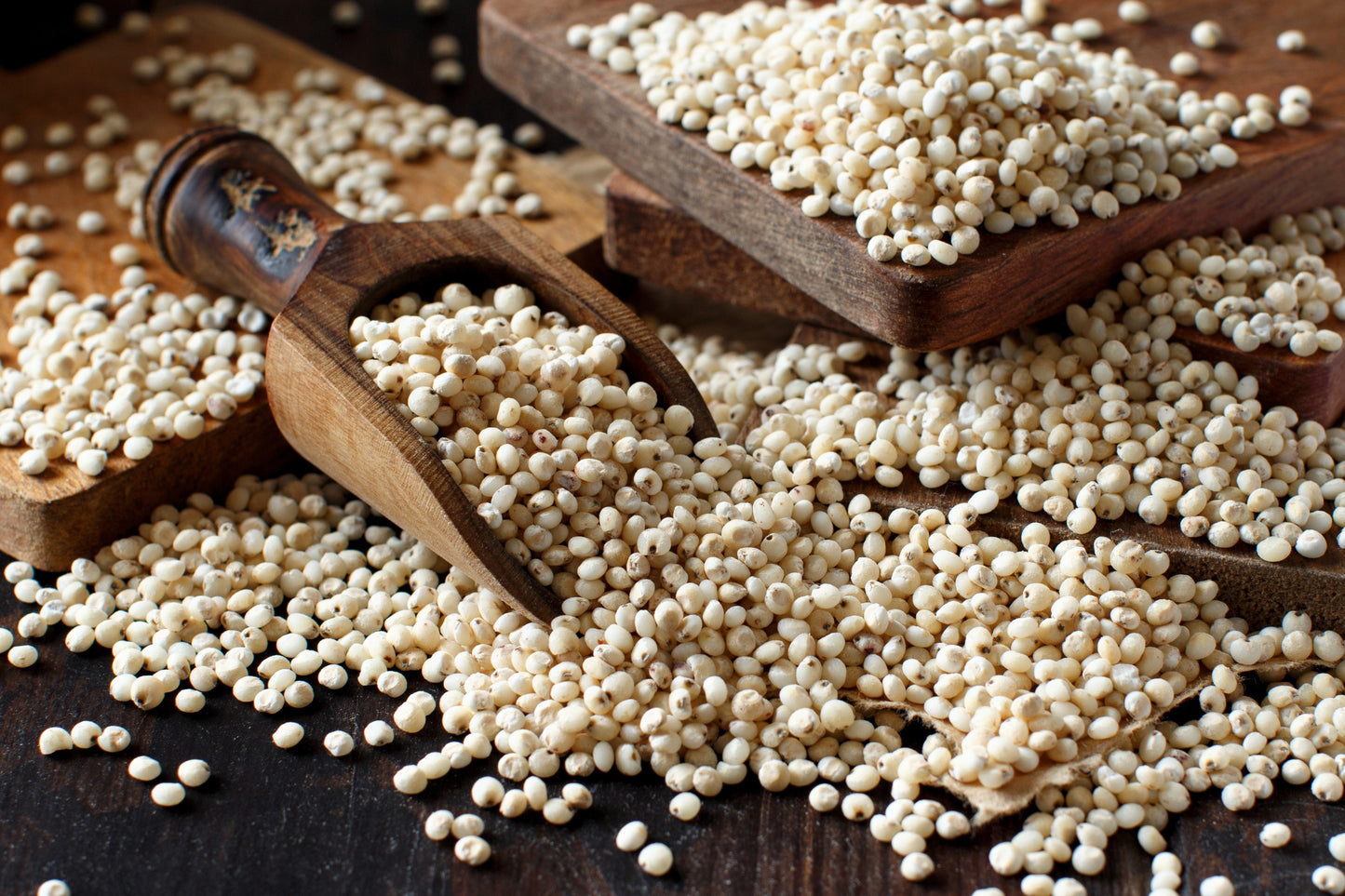 75 WHITE POPPING SORGHUM Bicolor Snack Vegetable Flour Grain Seeds