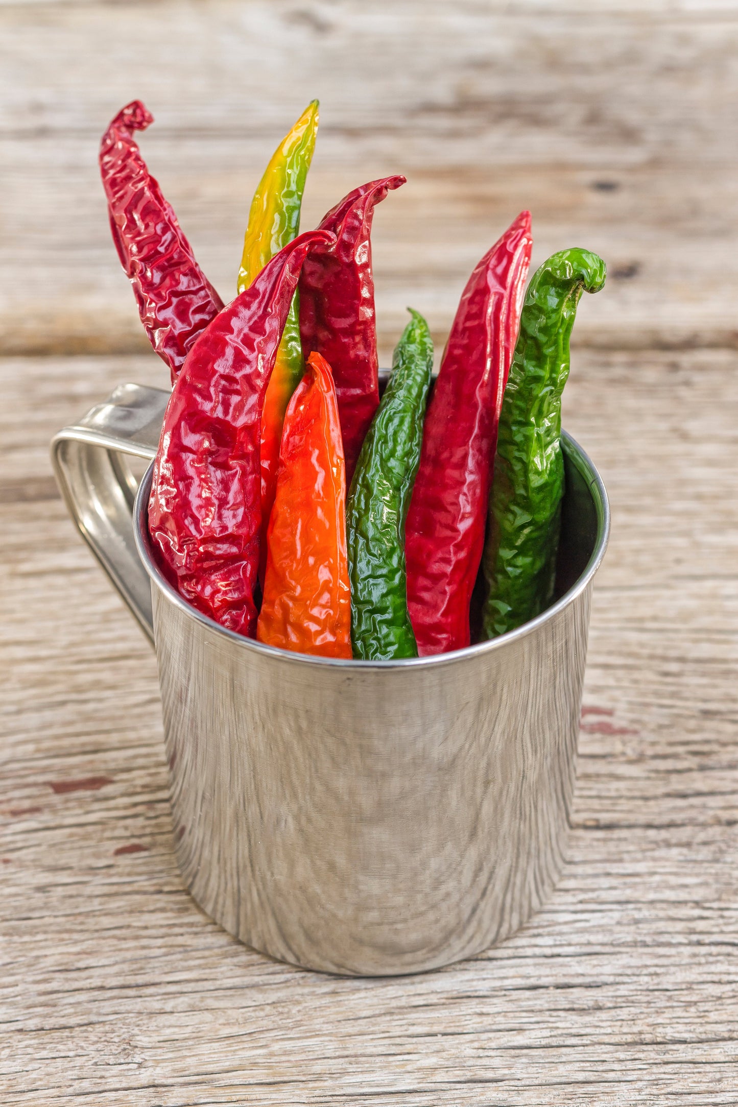 100 MIXED CAYENNE PEPPER Yellow Purple Orange Red Green Capsicum Vegetable Seeds