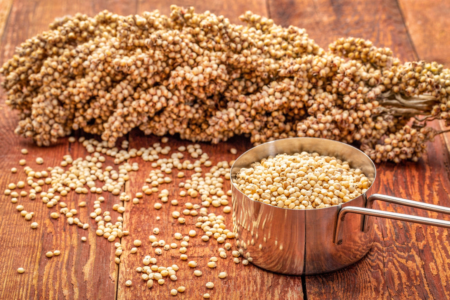 75 WHITE POPPING SORGHUM Bicolor Snack Vegetable Flour Grain Seeds