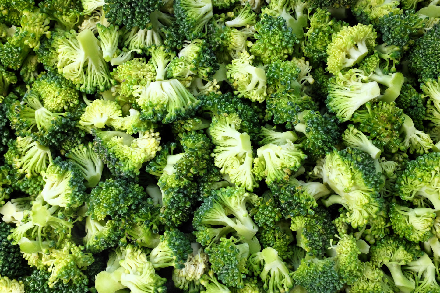 1000 CALABRESE BROCCOLI ITALIAN Green Sprouting Vegetable Brassica Seeds