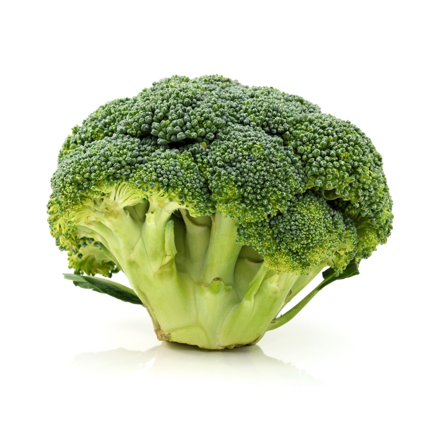 1000 CALABRESE BROCCOLI ITALIAN Green Sprouting Vegetable Brassica Seeds