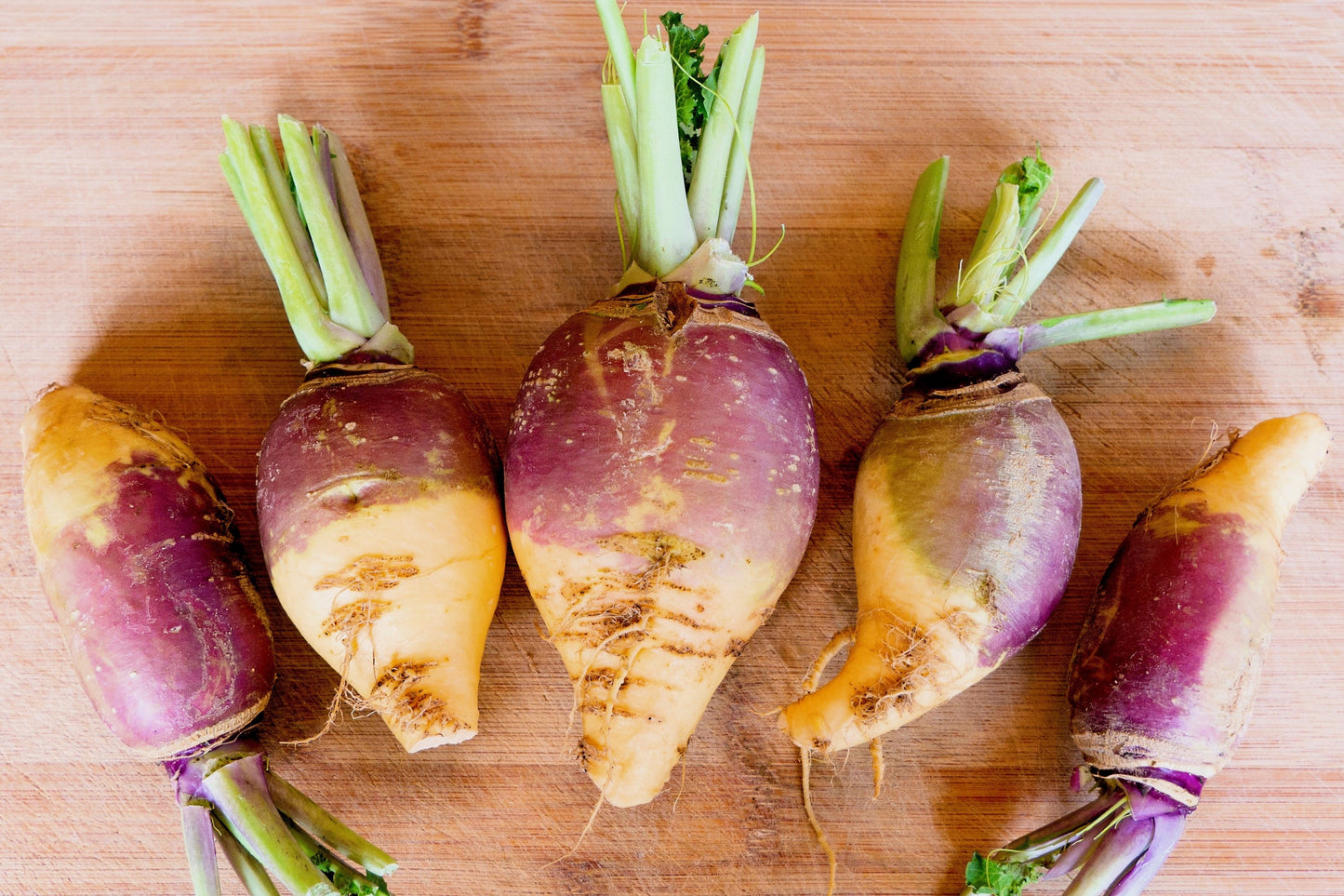 1500 American PURPLE TOP RUTABAGA Brassica Napus Root Vegetable & Greens Seeds
