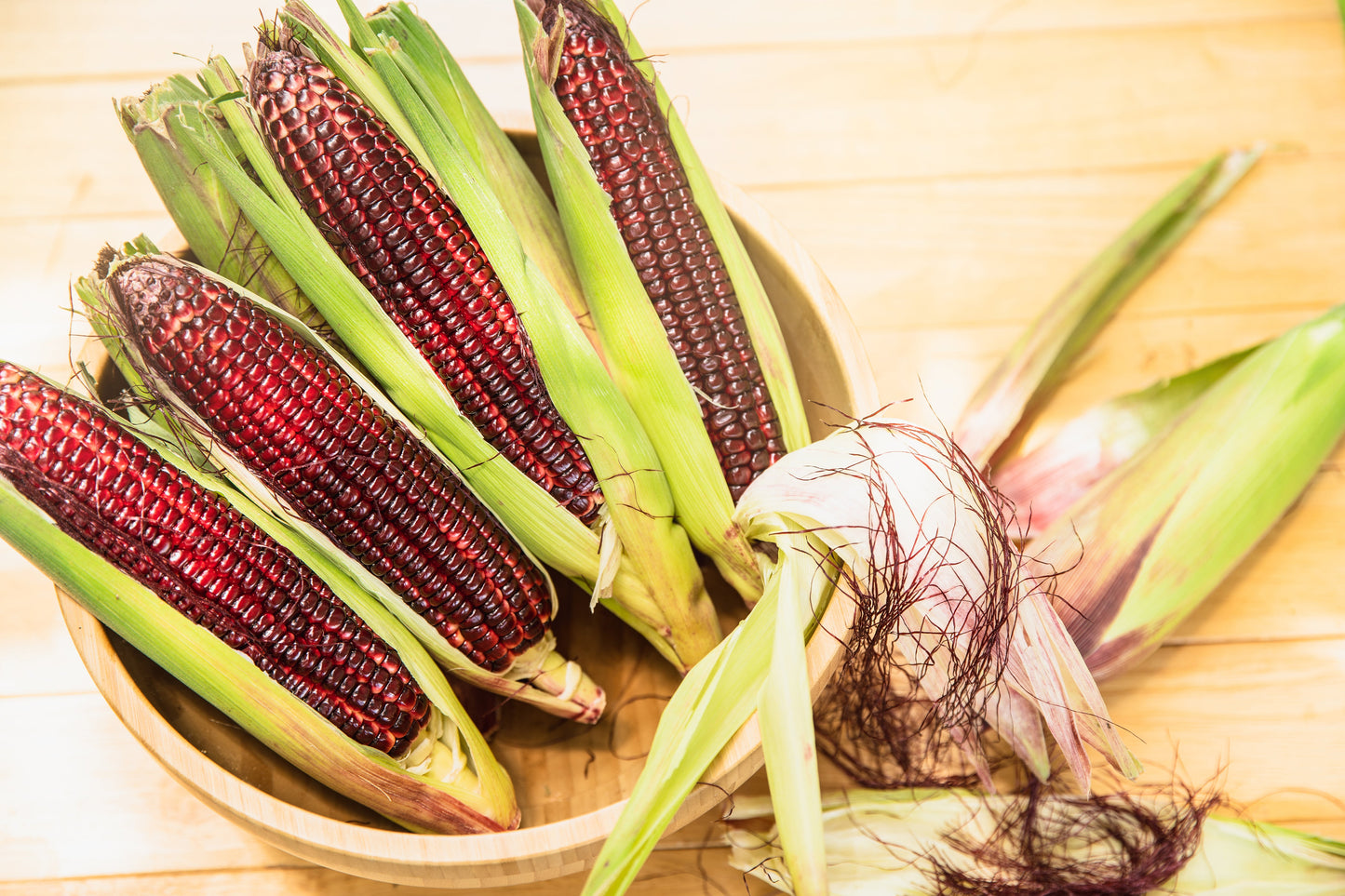 35 BLOODY BUTCHER Red CORN Edible & Ornamental Heirloom Zea Mays Vegetable Seeds