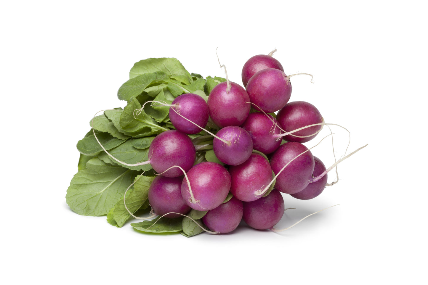 300 PURPLE PLUM RADISH Raphanus Sativus White Flesh Root Vegetable Seeds