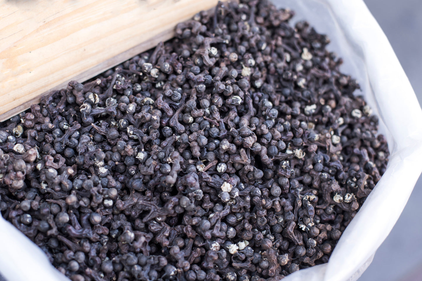 25 JAPANESE RAISIN TREE Edible Fruit Oriental Honey Flowers Hovenia Dulcis Seeds