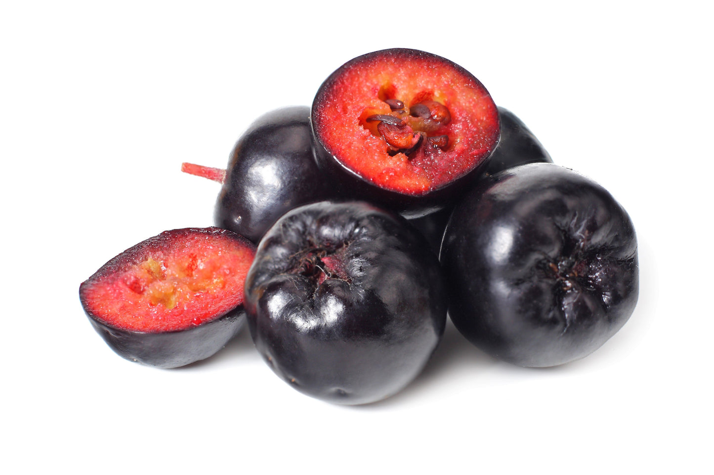 50 BLACK CHOKEBERRY Aronia Melanocarpa White Flower Fruit Shrub Seeds