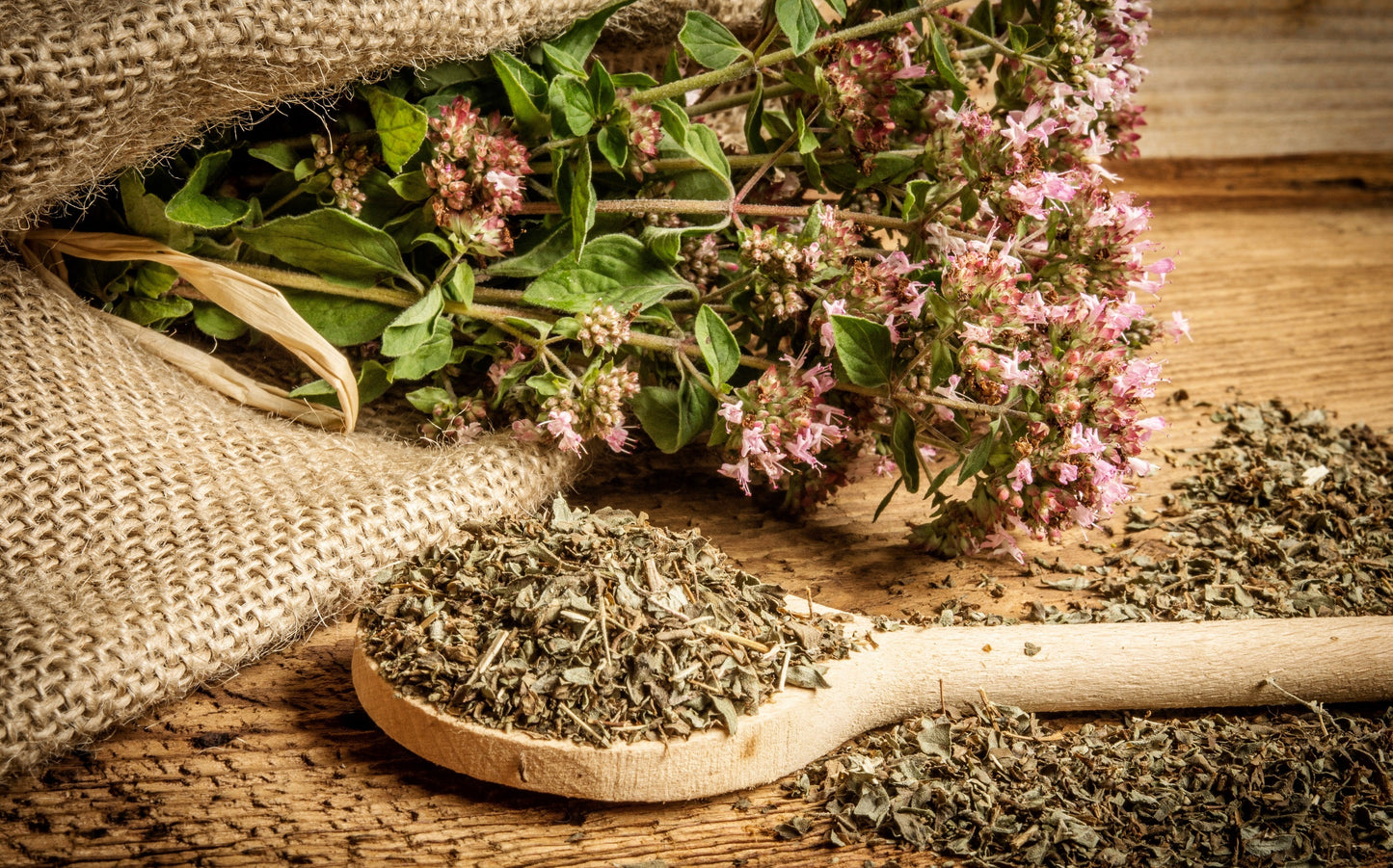 500 OREGANO Origanum Vulgare Herb Purple Butterfly Flower Seeds