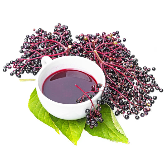 25 American ELDERBERRY FRUIT BUSH Shrub Tree Sambucus Nigra Canadensis Seeds