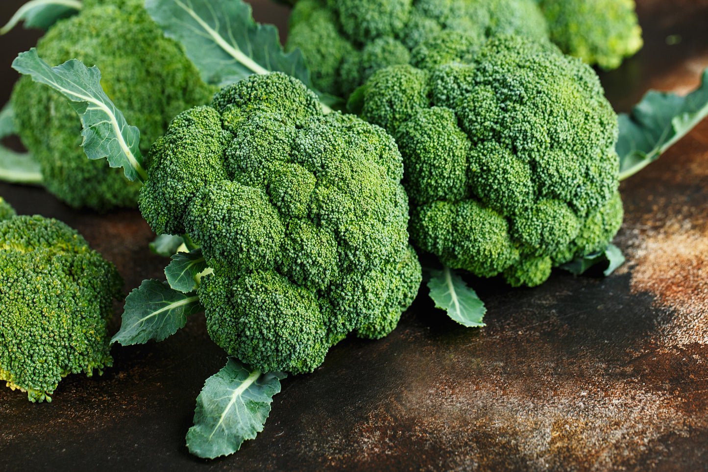 1000 WALTHAM 29 BROCCOLI Brassica Oleracea Vegetable Seeds