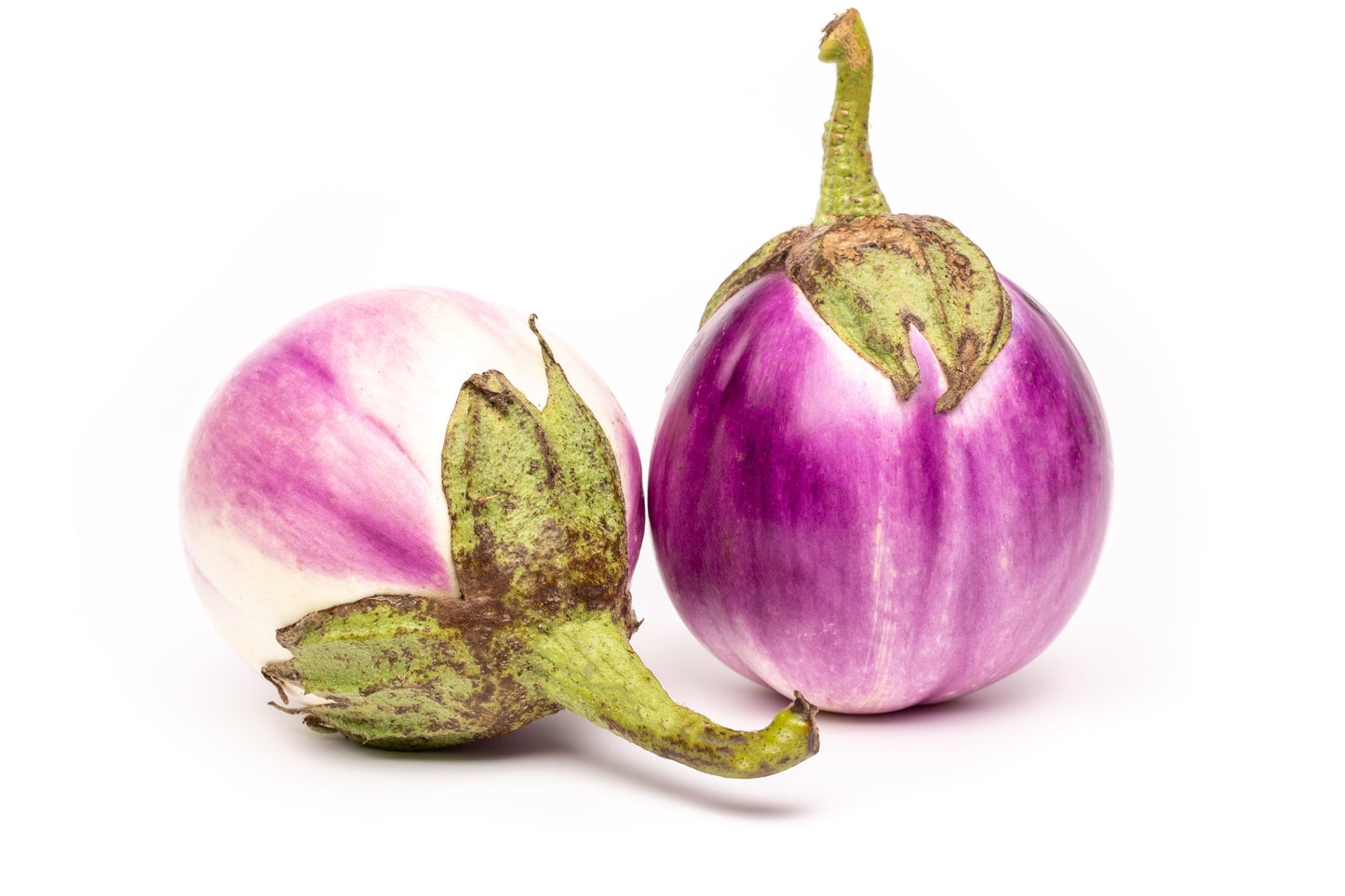 50 Organic Italian EGGPLANT ROSA BIANCA Solanum Melongena Esculentum Vegetable Seeds