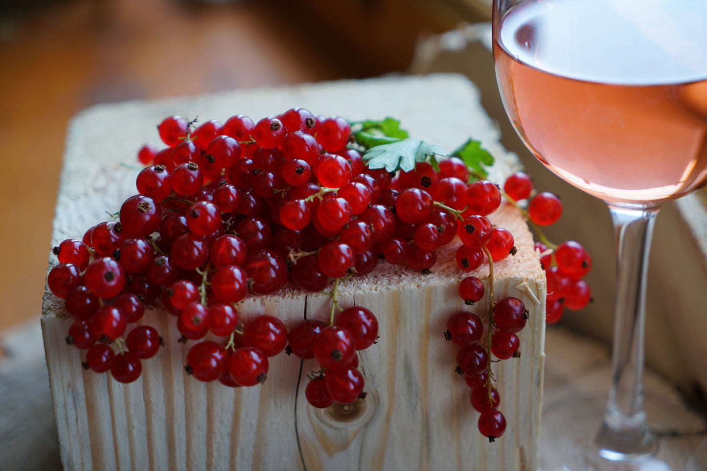 20 Red WAX CURRANT Edible Fruit Berries Pink Flowers Shrub Ribes Cereum Seeds