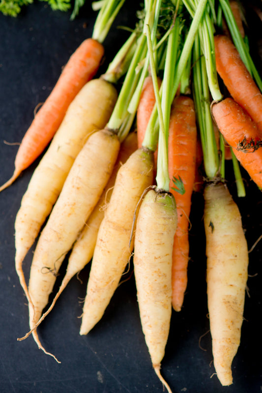 300 LUNAR WHITE CARROT Daucus Carota Vegetable Seeds