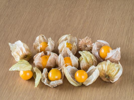 200 Organic GROUND CHERRY Physalis Pruinosa ( Golden Strawberry / Chinese Lantern ) Vegetable Seeds