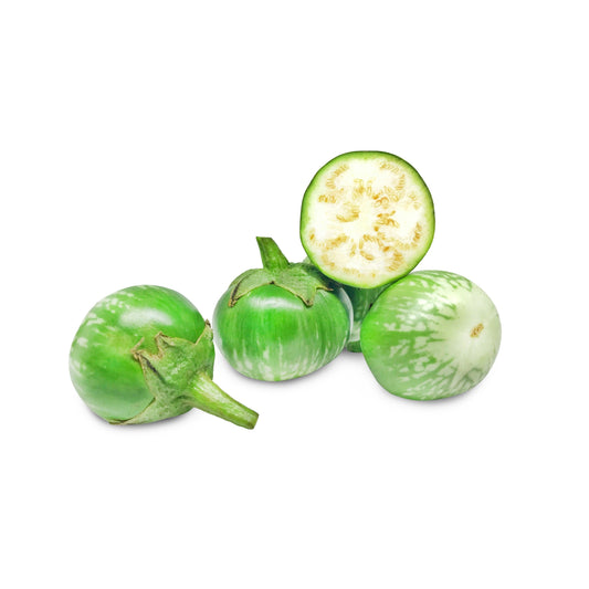 10 KERMIT EGGPLANT Green White Thai Solanum Melongena Fruit Vegetable Seeds