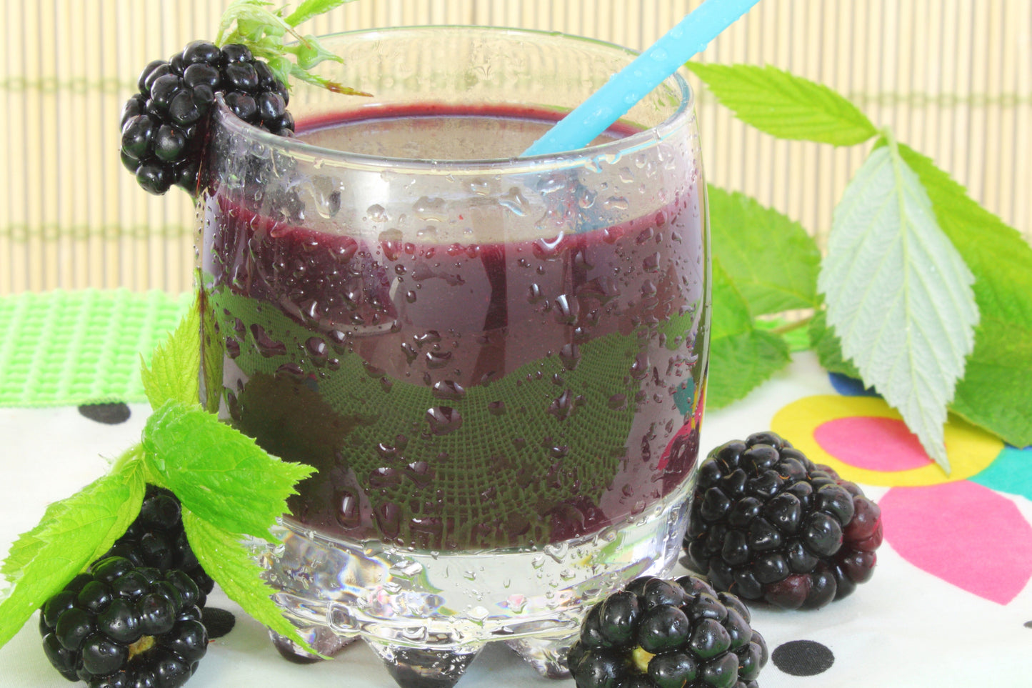 25 TRAILING BLACKBERRY Pacific Rubus Ursinus Vining Shrub Fruit Berry Seeds