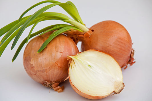 500 Sweet YELLOW SPANISH ONION Allium Cepa Vegetable Seeds