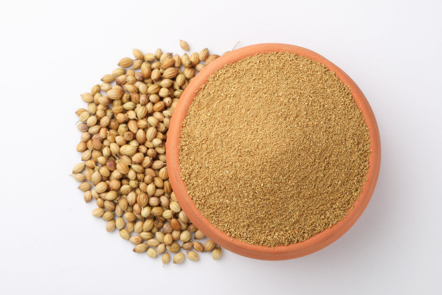 100 FIESTA Green CILANTRO / CORIANDER Coriandrum Sativum Herb Vegetable Seeds