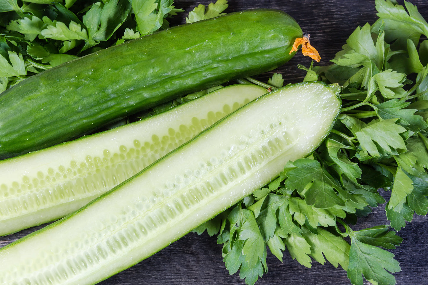 30 ENGLISH CUCUMBER Cucumis Sativus Burpless Fruit Vegetable Seeds