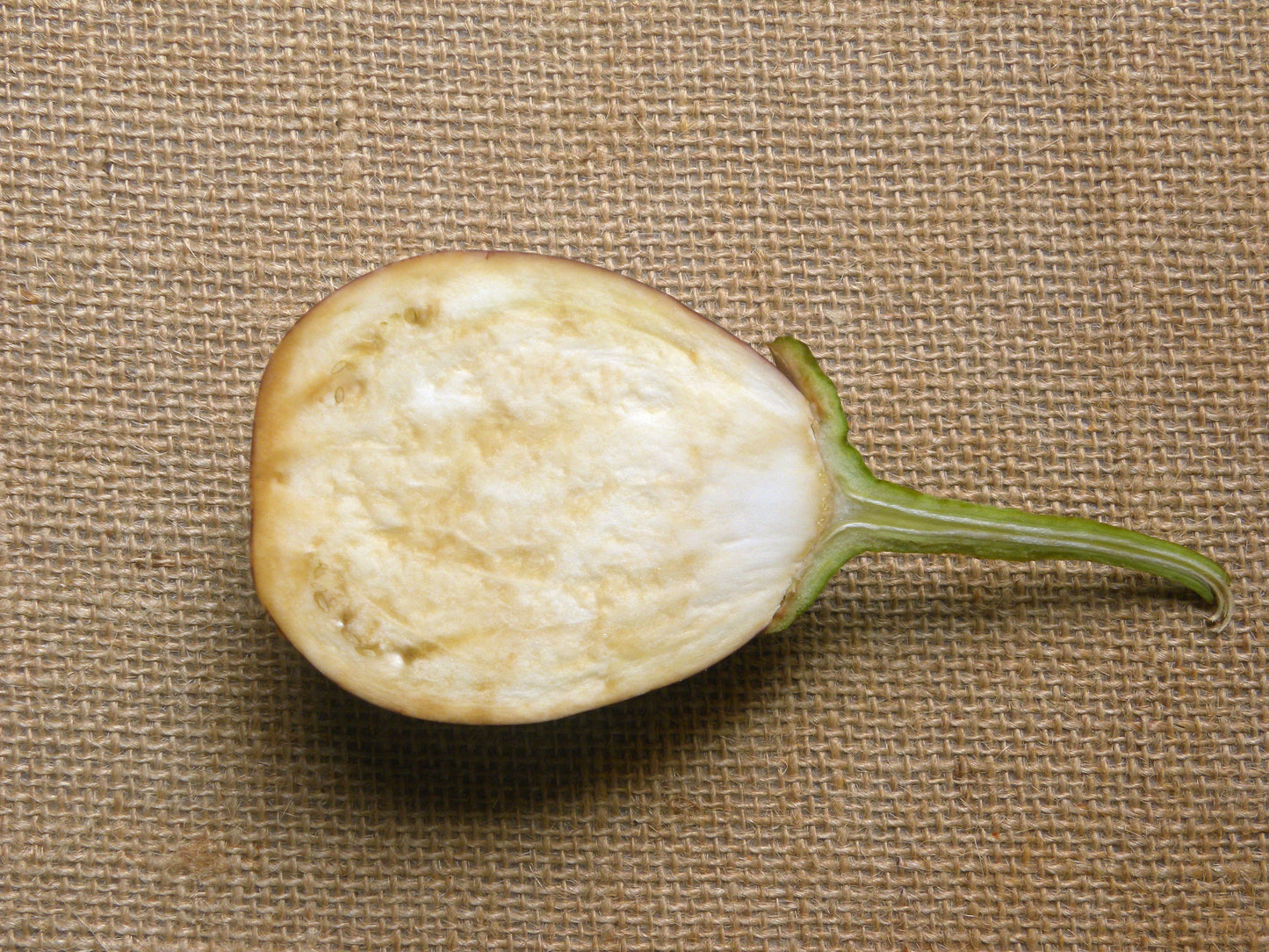 50 Organic Italian EGGPLANT ROSA BIANCA Solanum Melongena Esculentum Vegetable Seeds