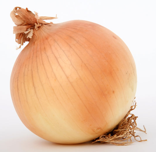 250 Sweet WALLA WALLA ONION Allium Cepa Vegetable Seeds