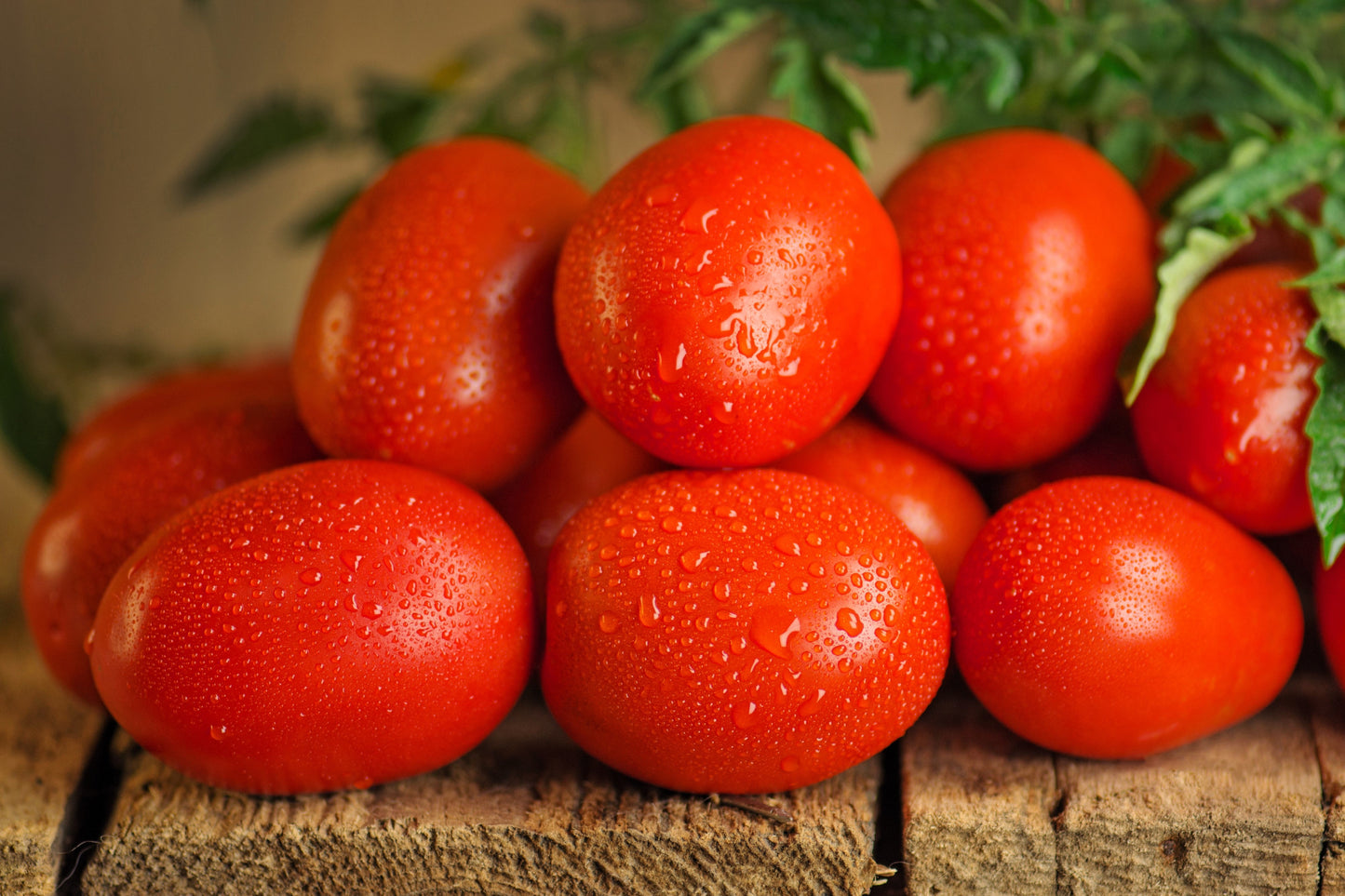 50 Organic AMISH PASTE TOMATO Red Heirloom Roma Type Lycopersicon Fruit Vegetable Seeds