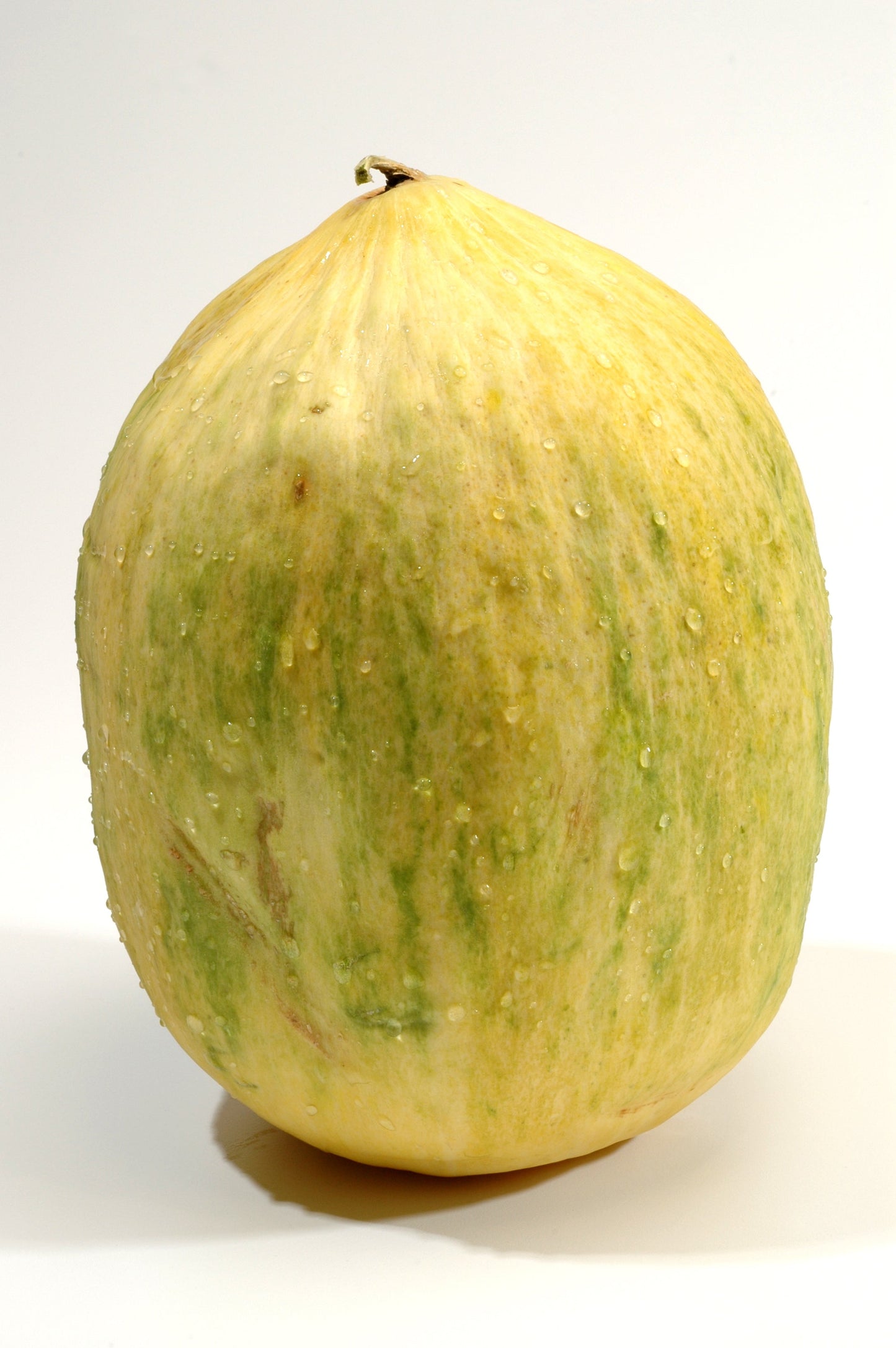 30 CRENSHAW MELON ( Muskmelon / Winter Melon / Cranshaw ) Cucumis Melo Fruit Seeds