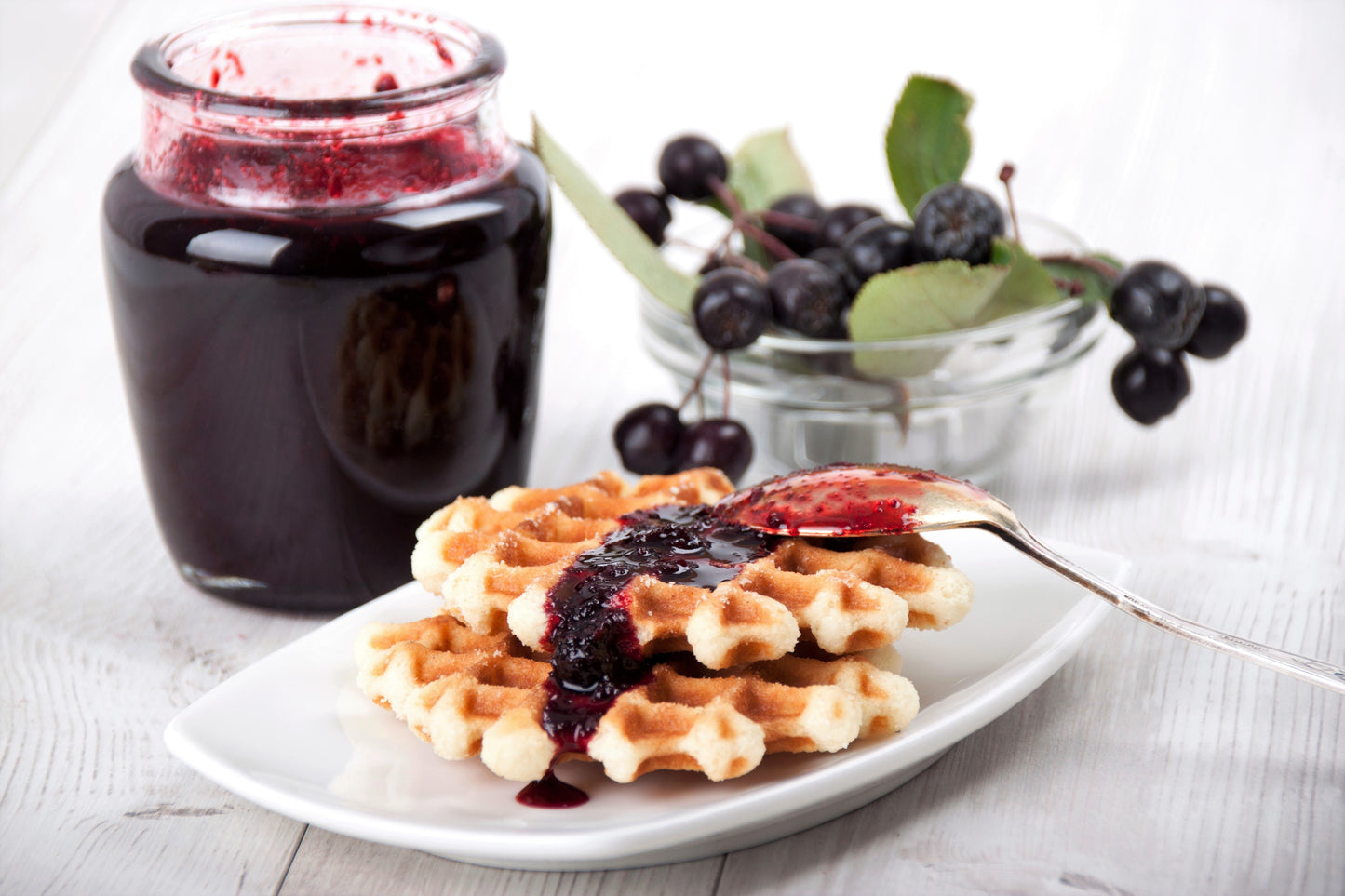 50 BLACK CHOKEBERRY Aronia Melanocarpa White Flower Fruit Shrub Seeds