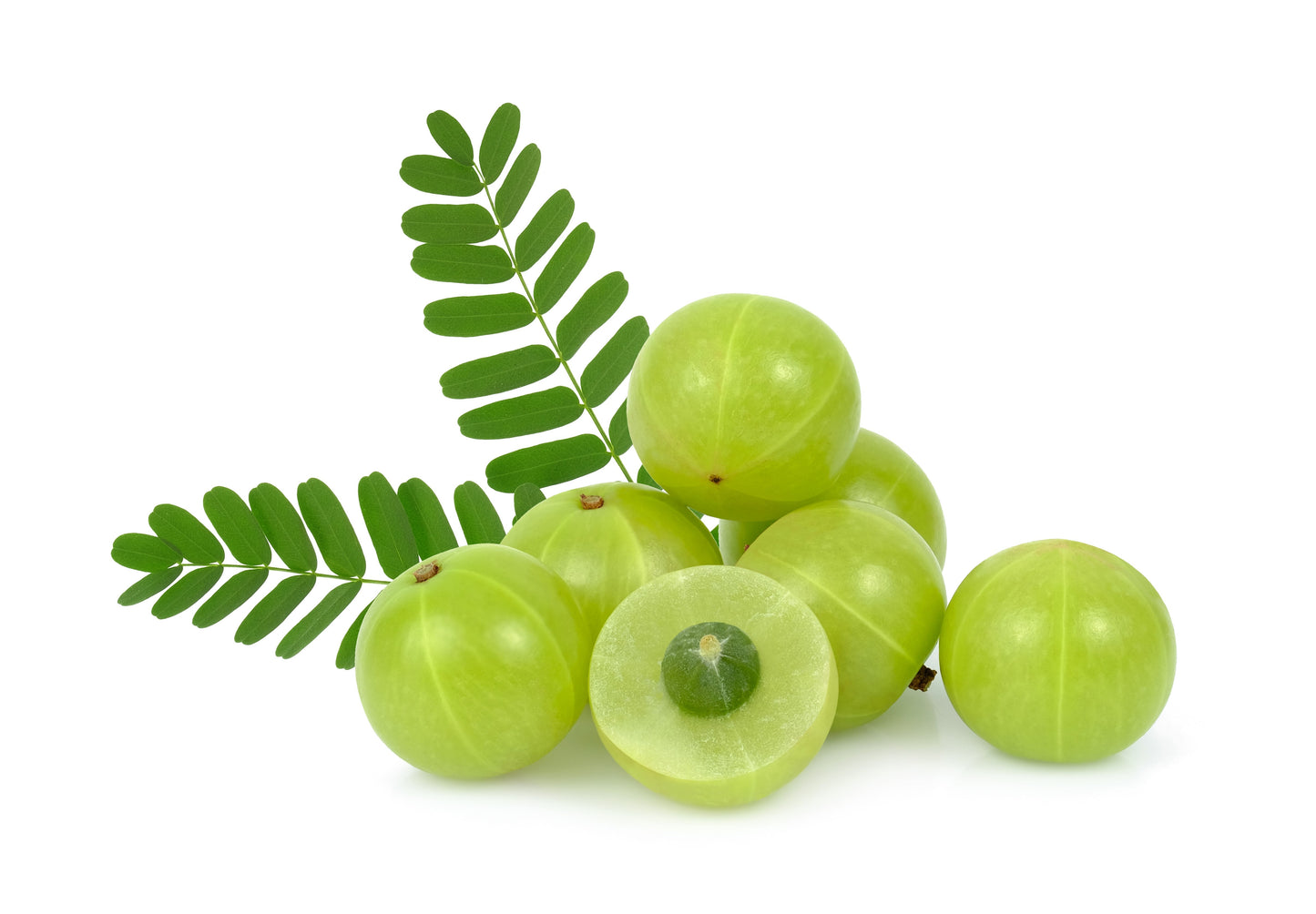 10 INDIAN GOOSEBERRY Phyllanthus Emblica Emblic Edible Fruit Tree Seeds