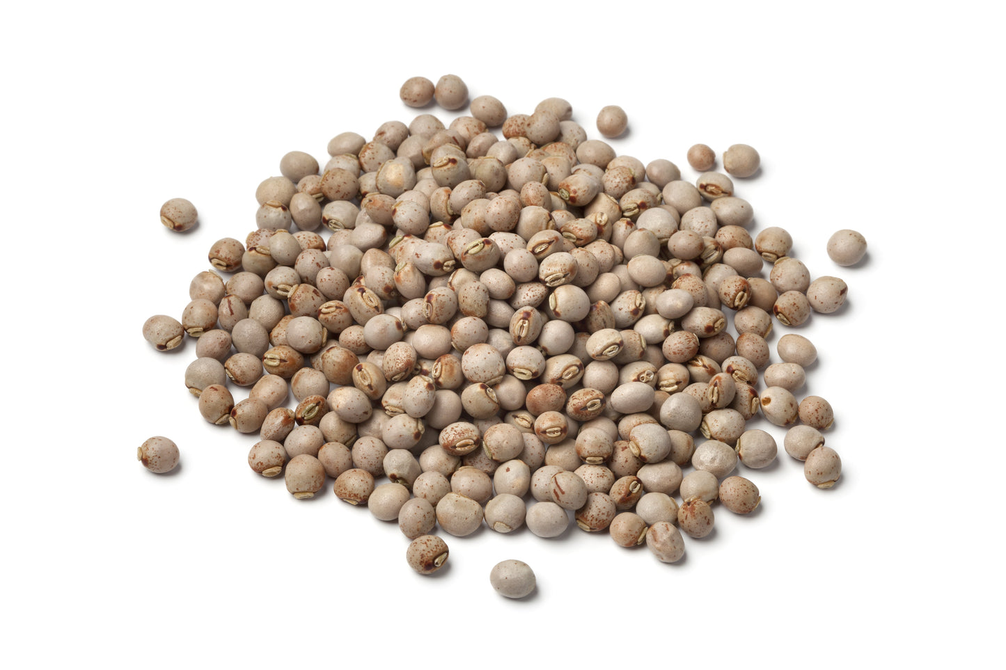 30 PIGEON PEA Dhal Gungo Puerto Rico Bean Cajanus Cajan Vegetable Seeds