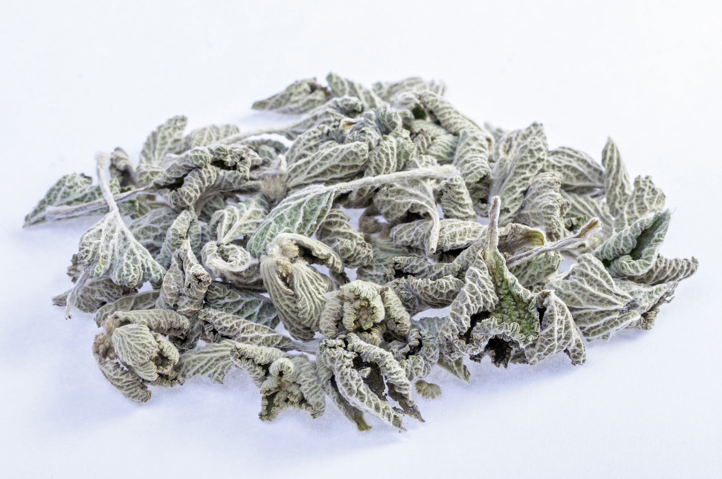 100 White HOREHOUND Marrubium Vulgare Herb Flower Seeds