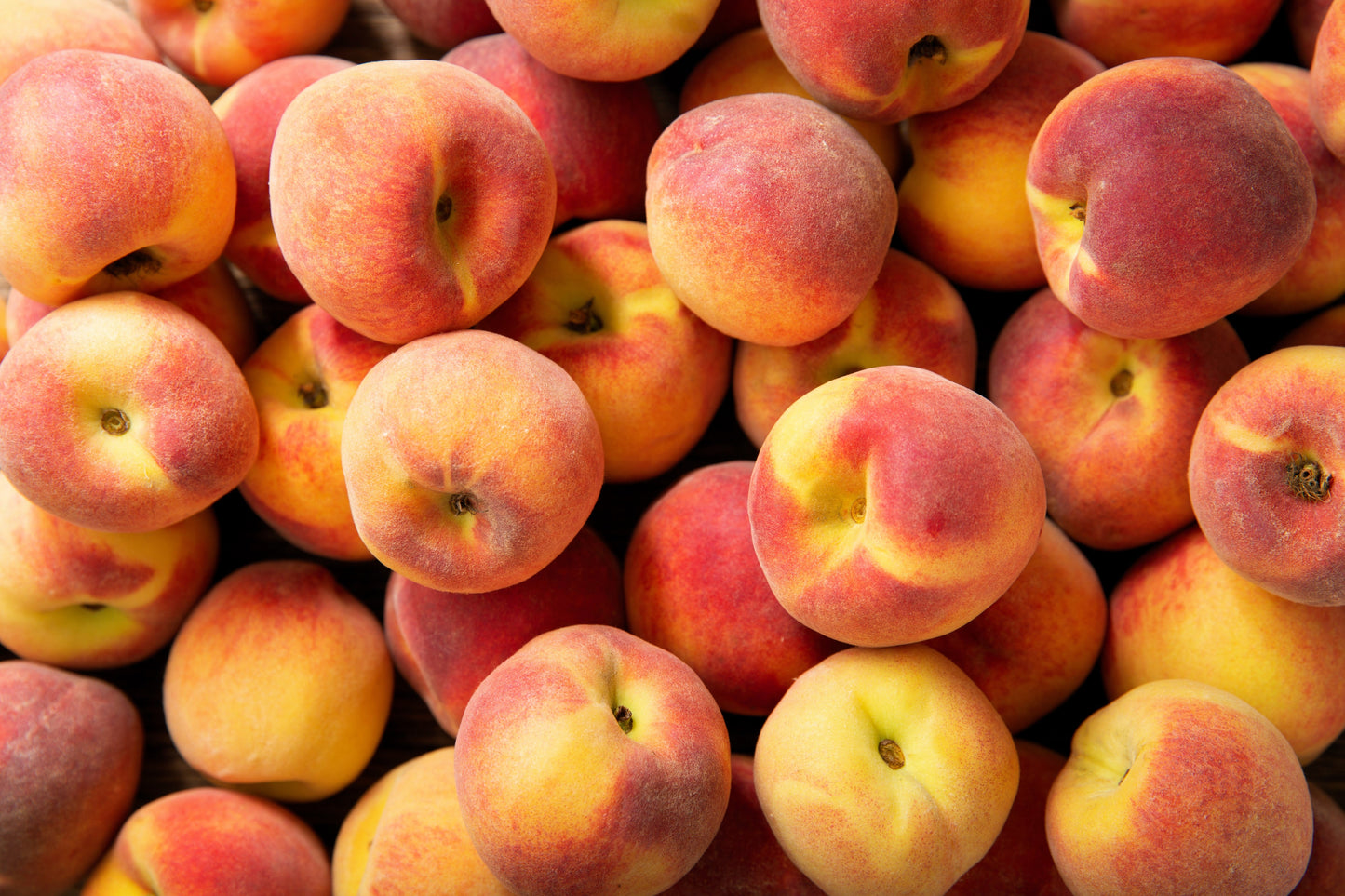 3 NEMAGUARD PEACH TREE Prunus Persica Fruit Pink Flower Seeds