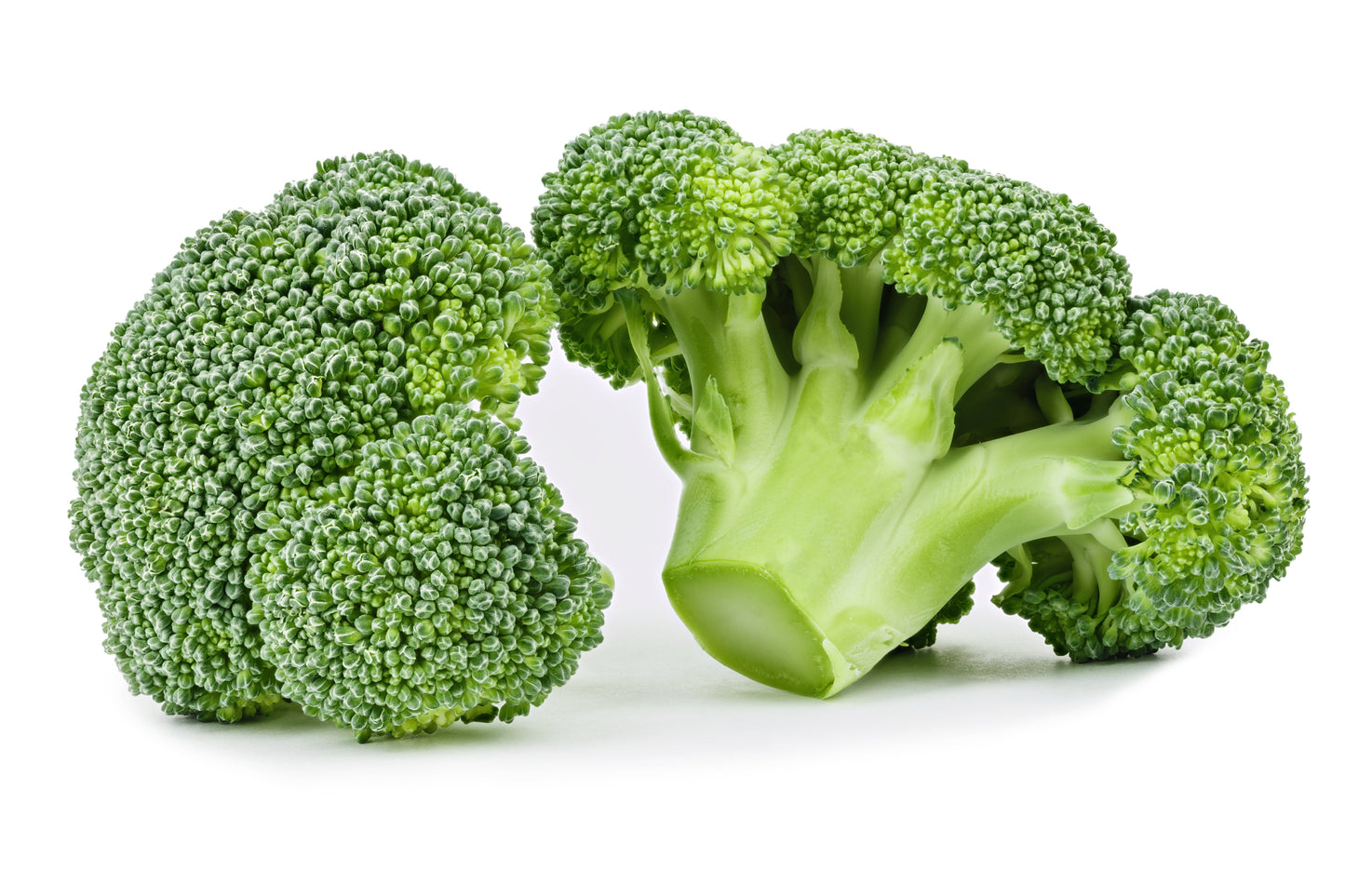 1000 Organic DE CICCO BROCCOLI Di Cicco Brassica Oleracea Capitata Vegetable Seeds