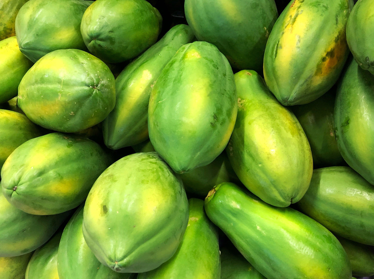 30 PAPAYA MELON Fruit TREE Carica Papaya Seeds