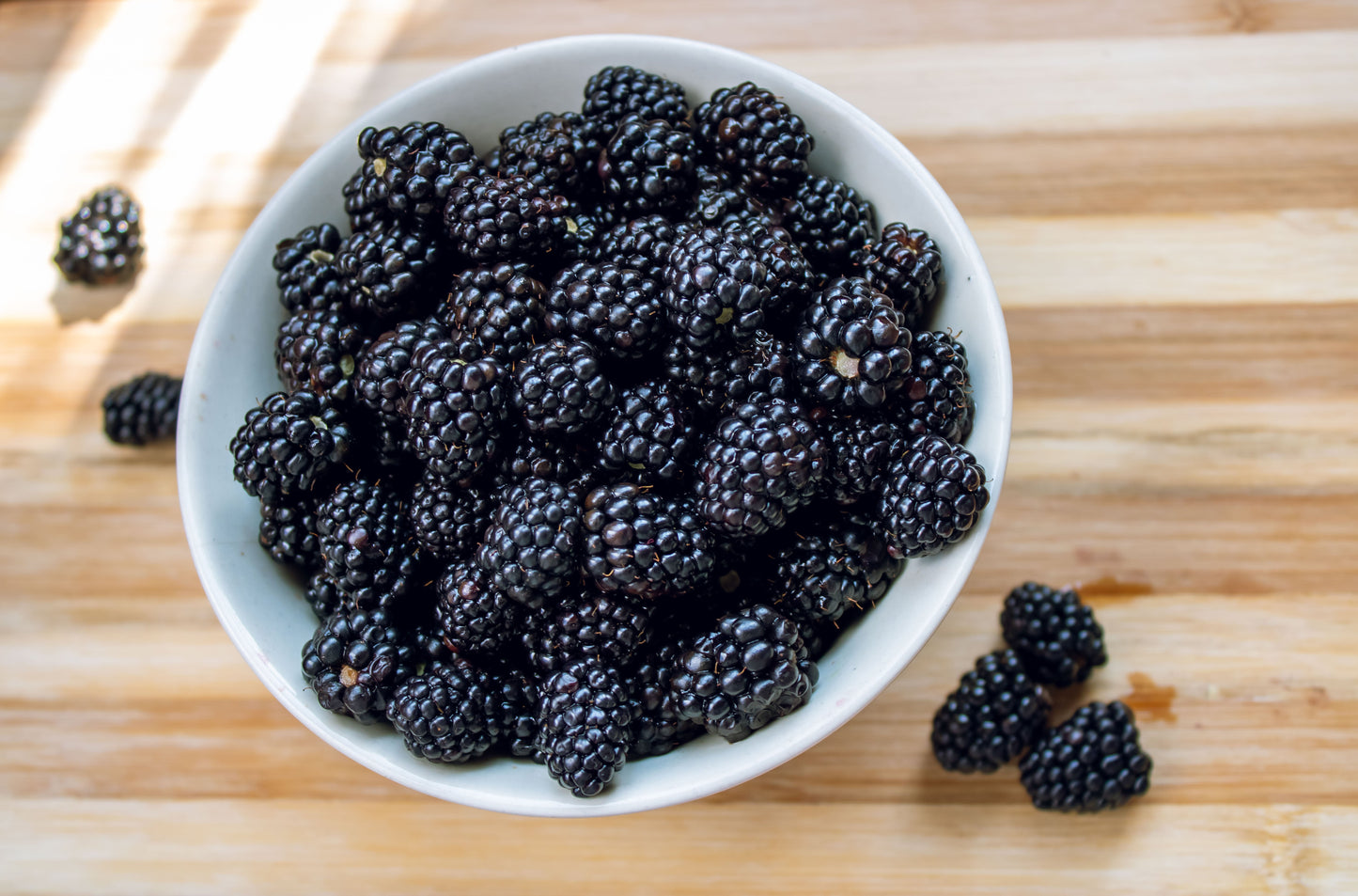 100 BLACKBERRY Fruit Bush Rubus Allegheniensis Seeds
