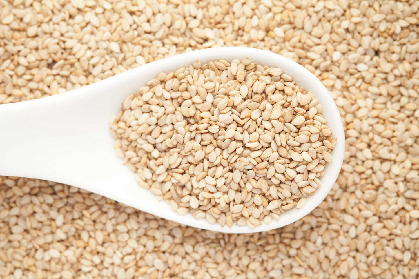 1500 Organic SESAME SEED Sesamum Indicum White Flower Vegetable Bread Seeds