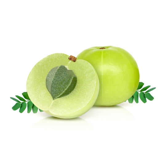 10 INDIAN GOOSEBERRY Phyllanthus Emblica Emblic Edible Fruit Tree Seeds