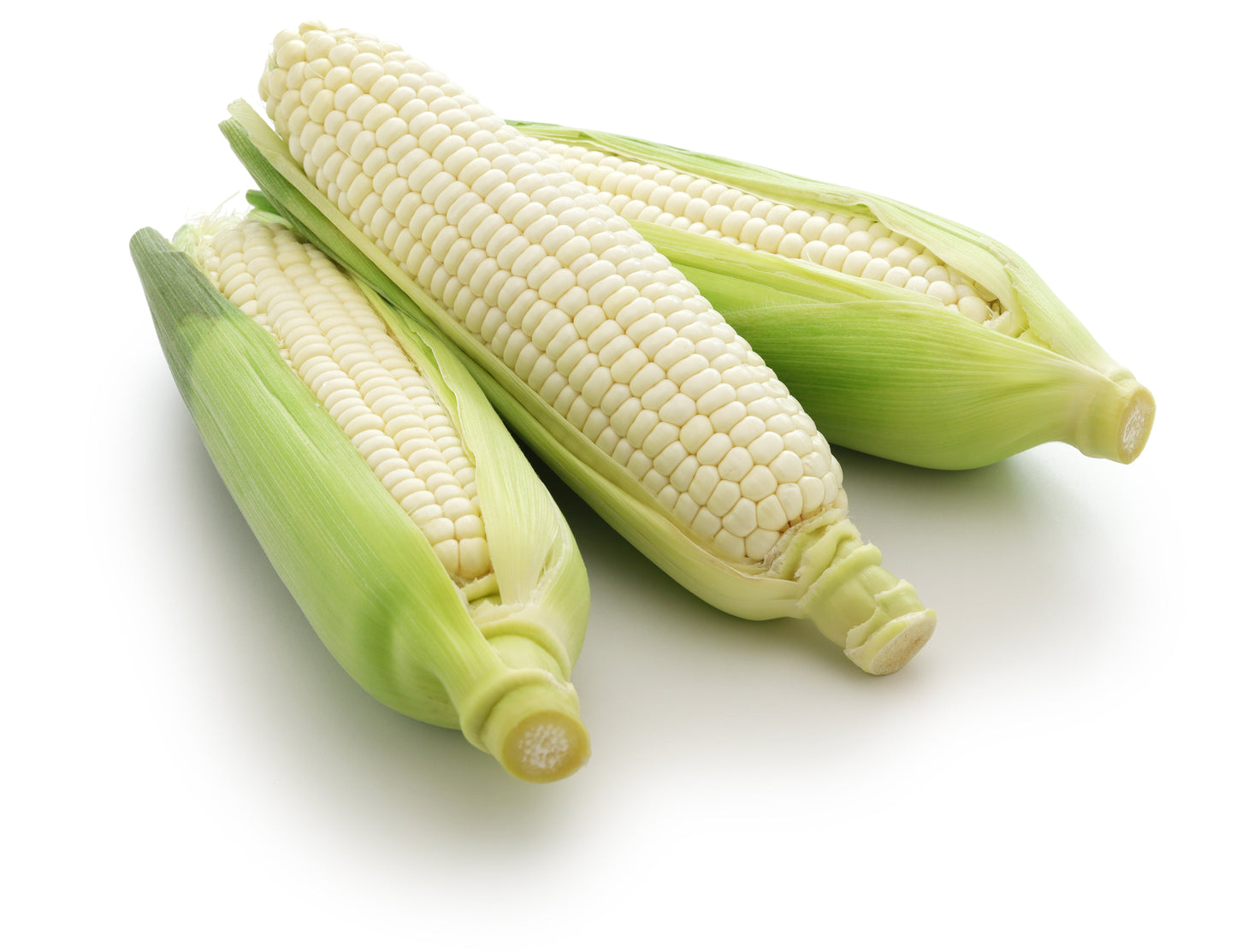 100 Country GENTLEMAN WHITE CORN Sweet Heirloom Zea Mays Vegetable Seeds