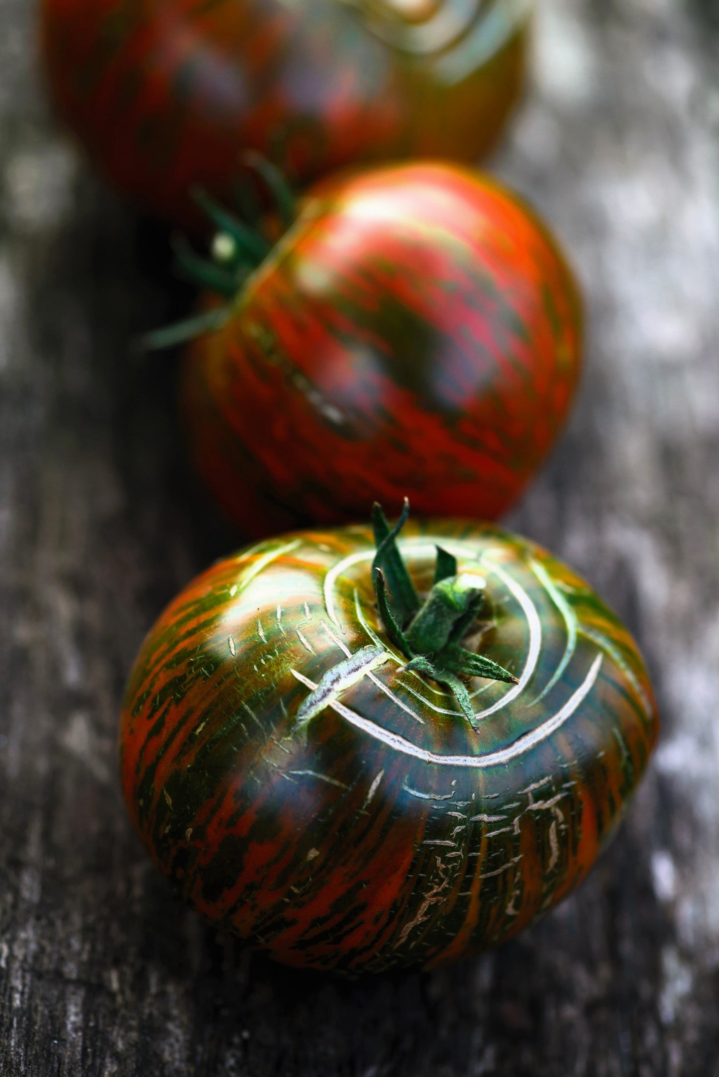 50 CHOCOLATE STRIPES TOMATO Brown with Green Lycopersicon Fruit Vegetable Seeds