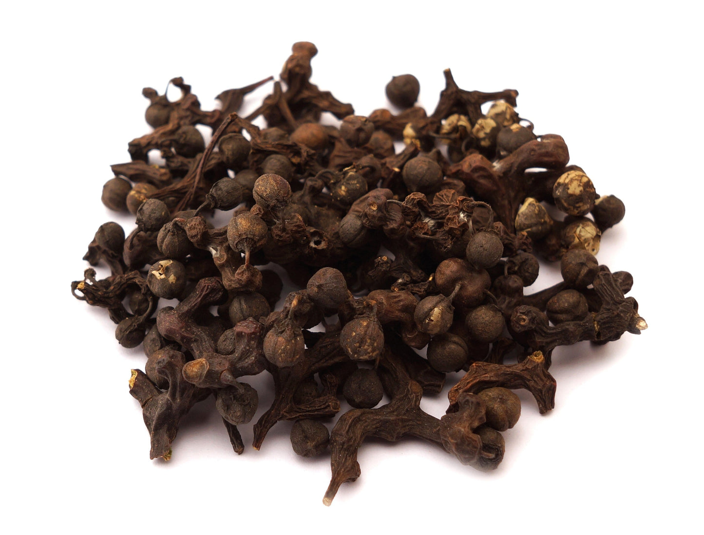 25 JAPANESE RAISIN TREE Edible Fruit Oriental Honey Flowers Hovenia Dulcis Seeds