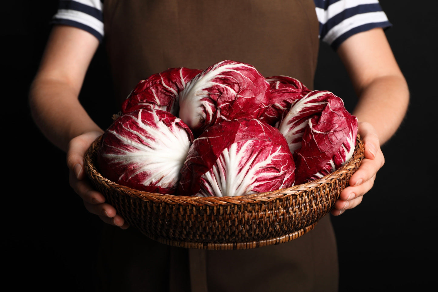 100 ROSSA Di VERONA RADICCHIO / Endive Italian Cichorium Intybus Vegetable Seeds