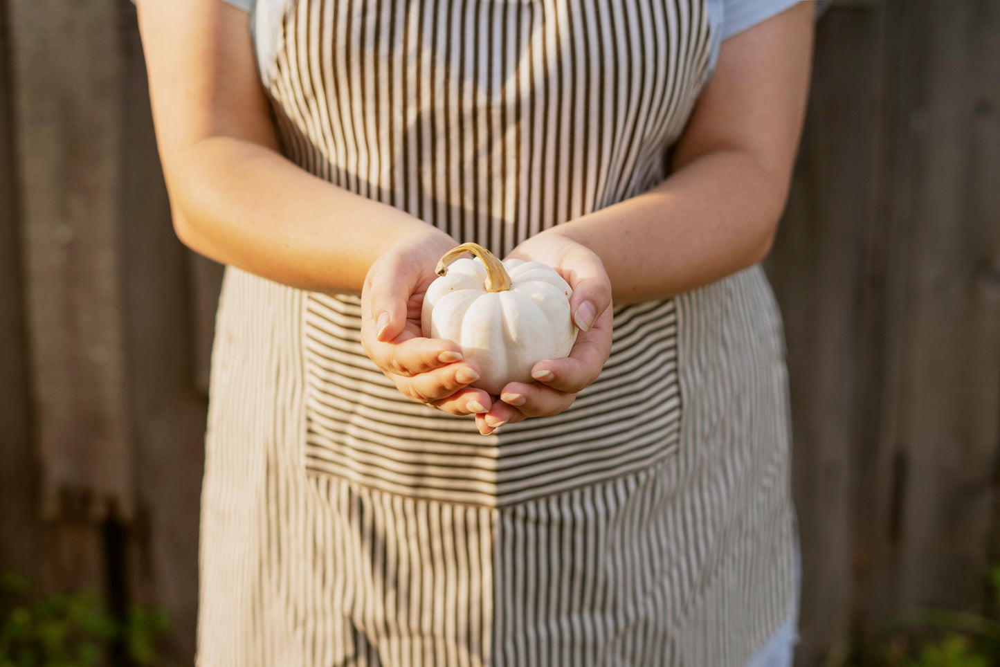 15 WHITE Baby Boo MINI PUMPKIN Miniature Cucurbita Pepo Vegetable Seeds