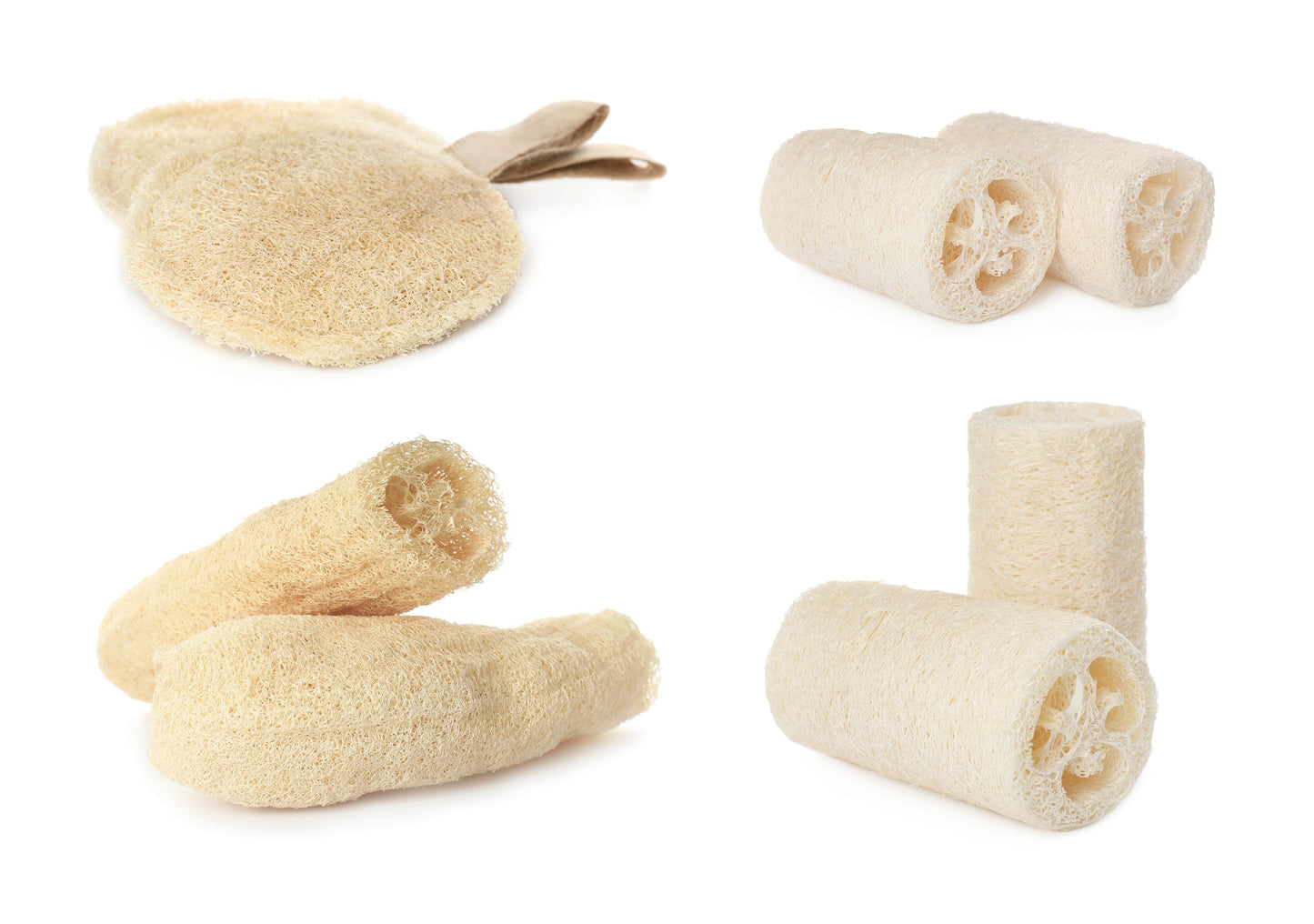 25 LUFFA SPONGE GOURD (Vegetable Sponge / Smooth Luffa / Sponge Loofa / Climbing Okra / Dishrag Gourd) Luffa Cylindrica Vine Seeds