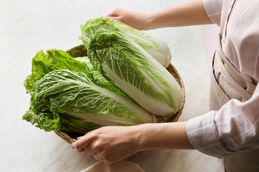 500 MICHIHILI CABBAGE (Chinese Cabbage / Bok Choy / Pak Choi / Celery Mustard / Chinese Chard) Brassica Rapa Chinensis Vegetable Seeds