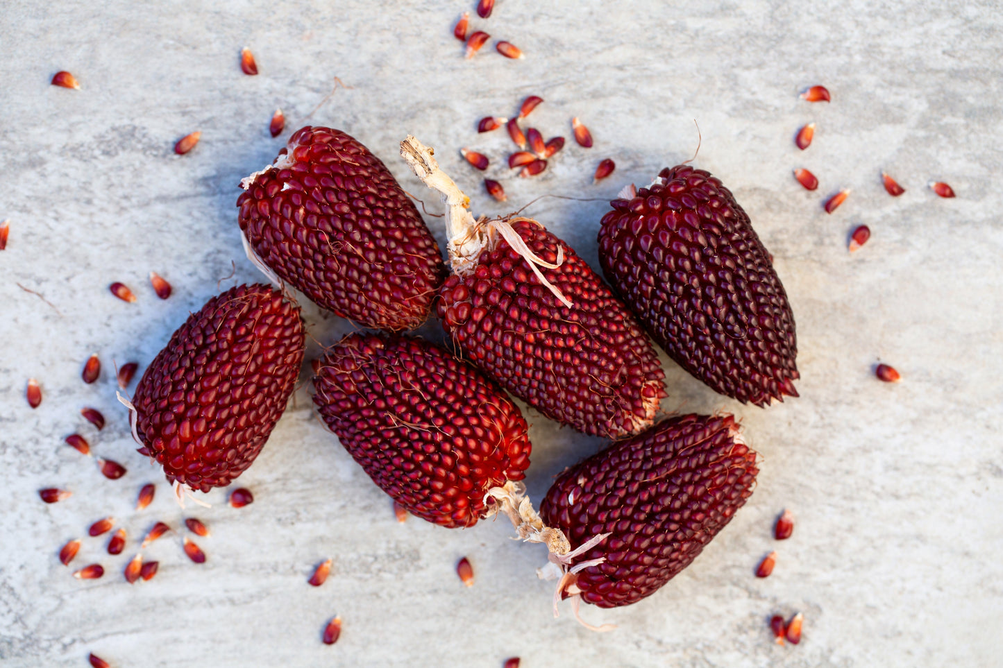 150 Red STRAWBERRY POPCORN CORN Zea Mays Vegetable Seeds