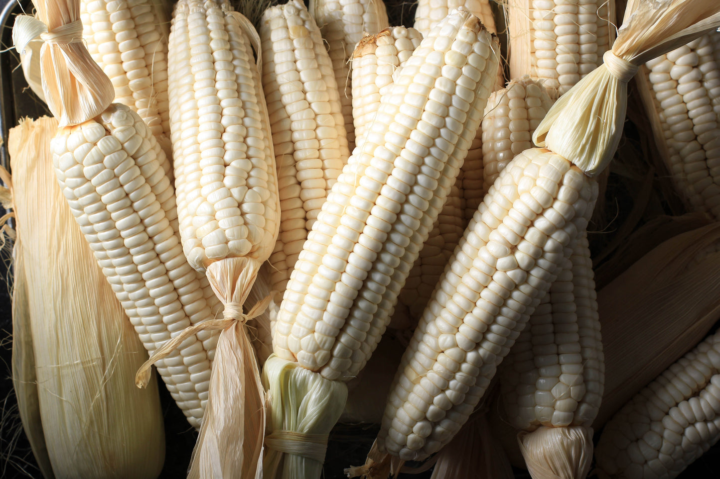 100 Country GENTLEMAN WHITE CORN Sweet Heirloom Zea Mays Vegetable Seeds