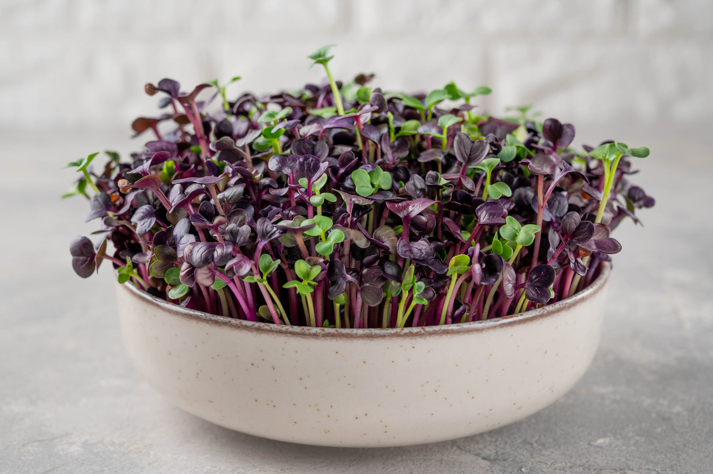 300 PURPLE PLUM RADISH Raphanus Sativus White Flesh Root Vegetable Seeds