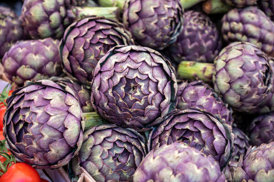 50 PURPLE ROMAGNA ARTICHOKE Italian Cynara Scolymus Flower Vegetable Seeds