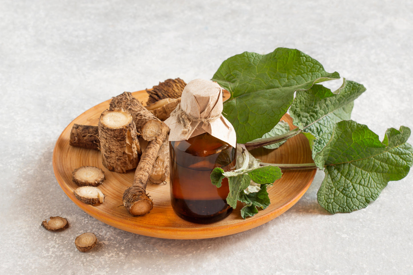 200 Great BURDOCK Arctium Lappa (Edible Burdock / Cockle-Button / Beggar's Buttons) HERB Flower Seeds