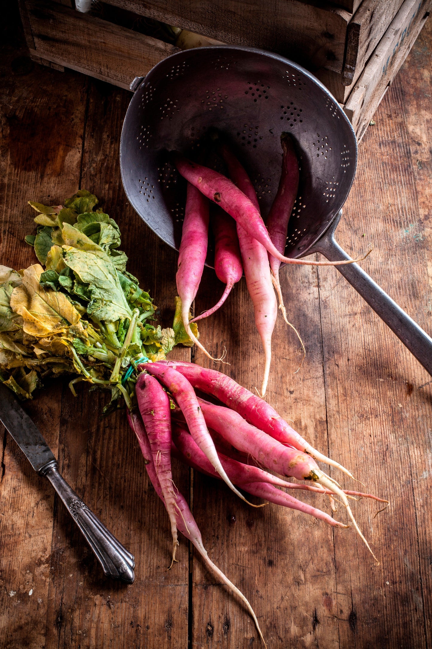 100 PINK SUMMERSICLE RADISH Raphanus Sativus Root Vegetable Seeds